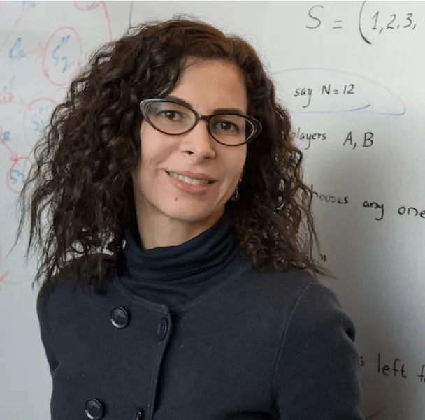 Farinaz Koushanfar